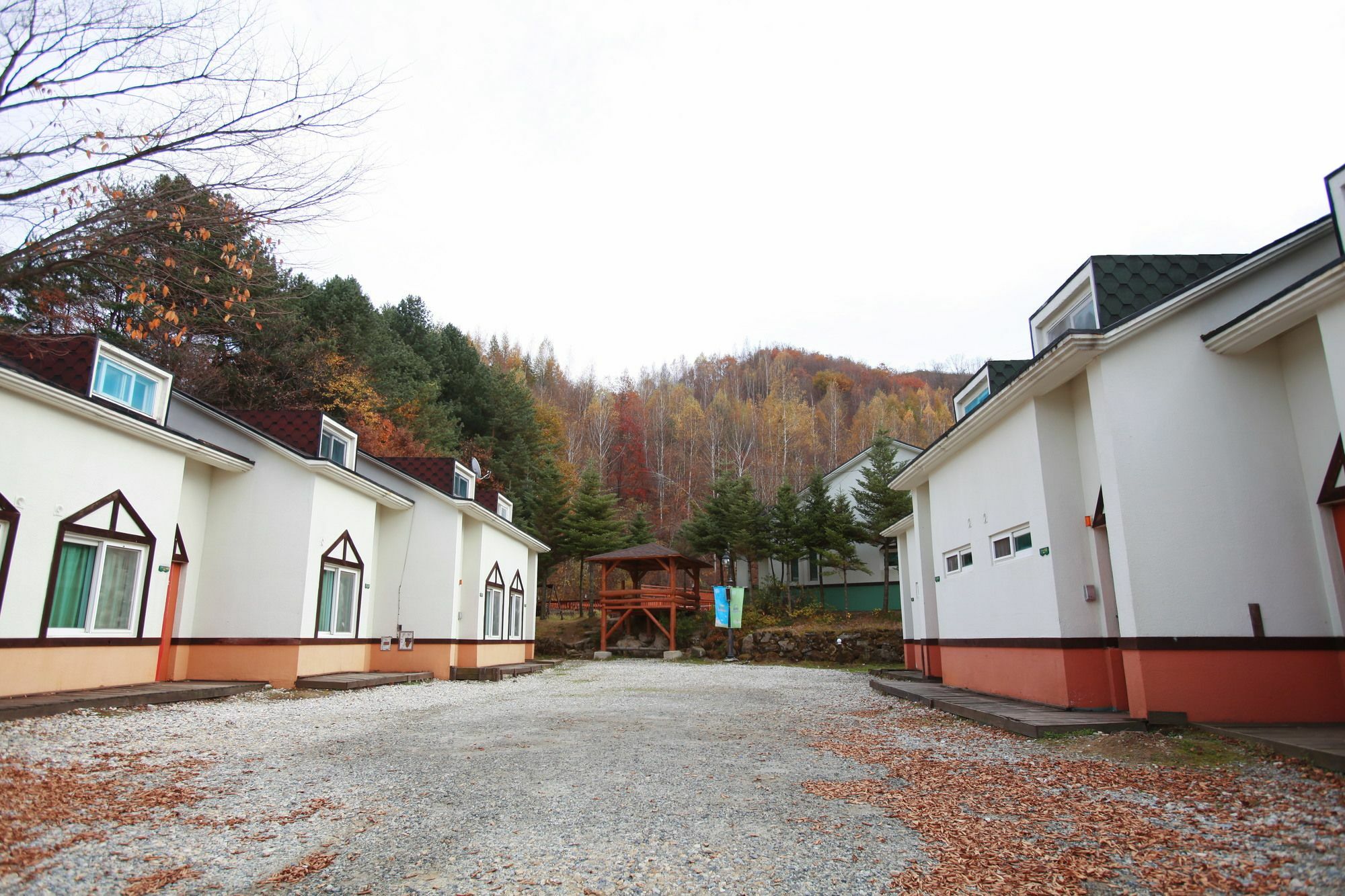 Pyeongchang Iris Pension Dış mekan fotoğraf