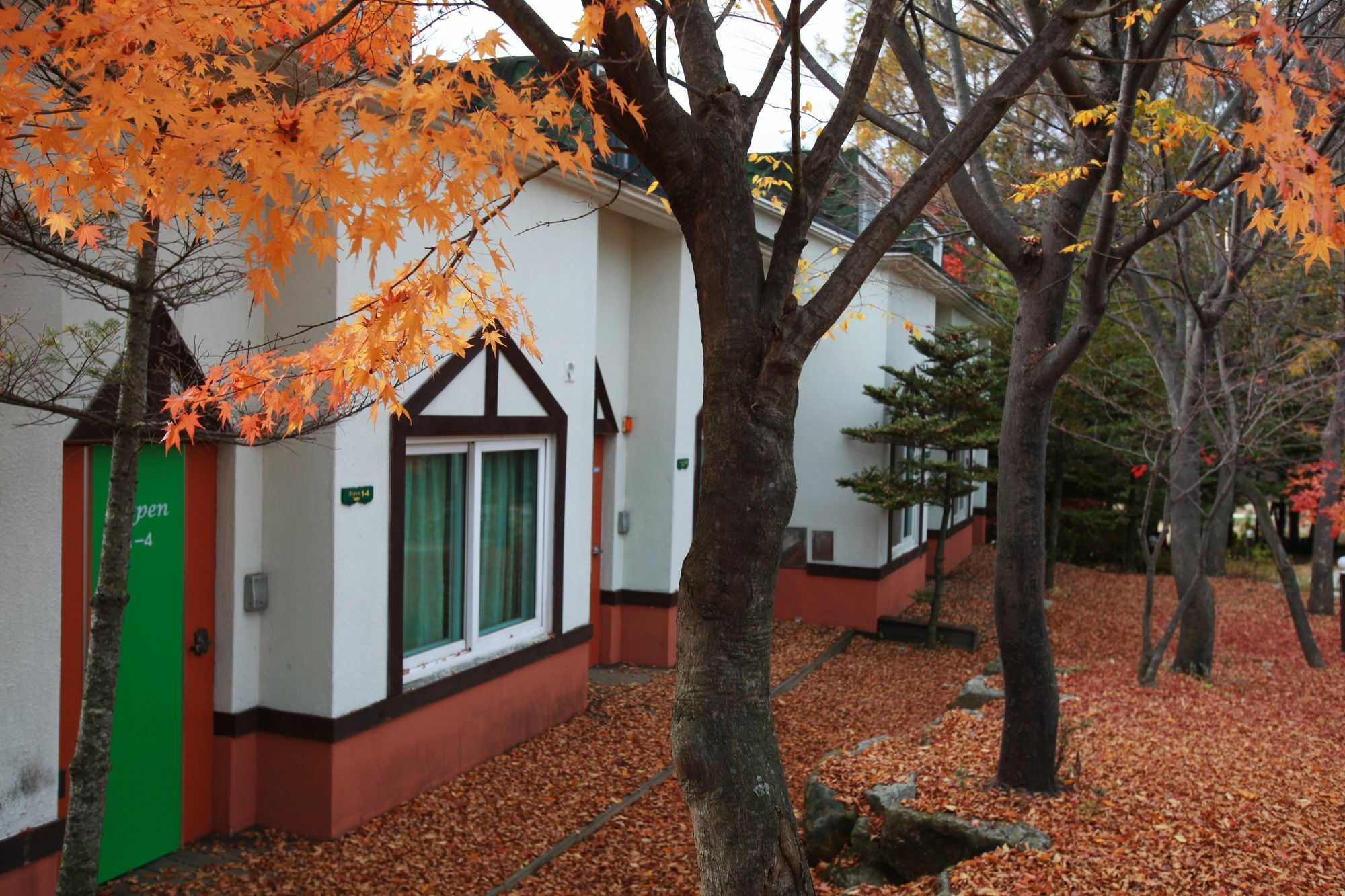 Pyeongchang Iris Pension Dış mekan fotoğraf